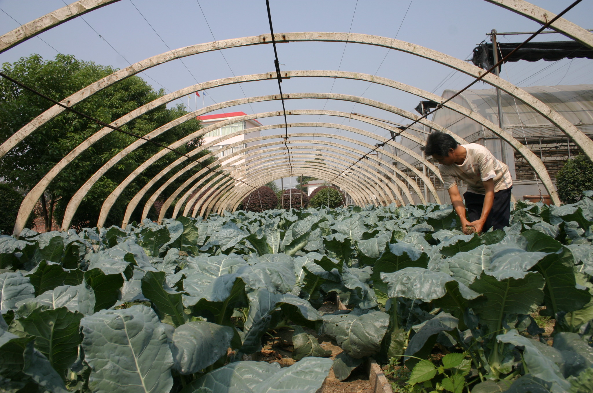 长沙康多多医药有限公司,长沙康多多