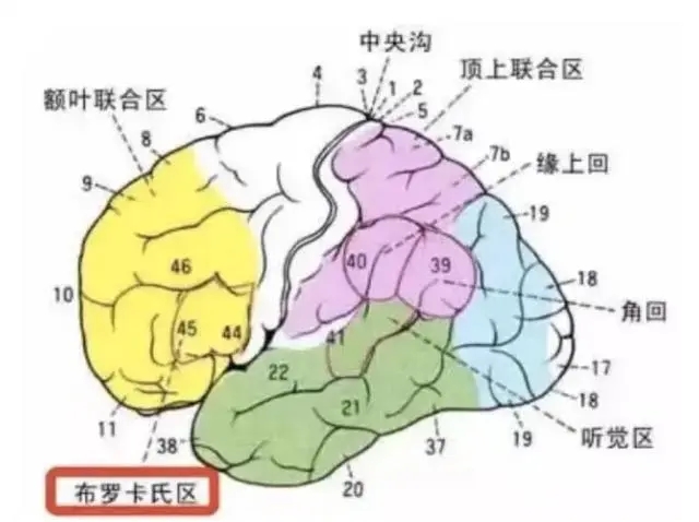 宝宝开口早聪明还是说话迟智商高,宝宝说话早聪明还是翻身早聪明