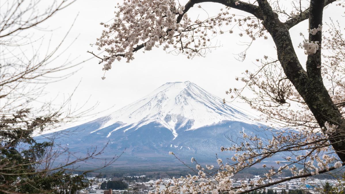 中国游客去日本旅游情况分析 (如何看待中国游客到日本旅游)