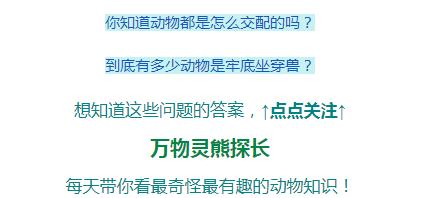 还敢随便杀蛇吗？被砍下的蛇头还能咬人，难道蛇死了还会*仇报**？