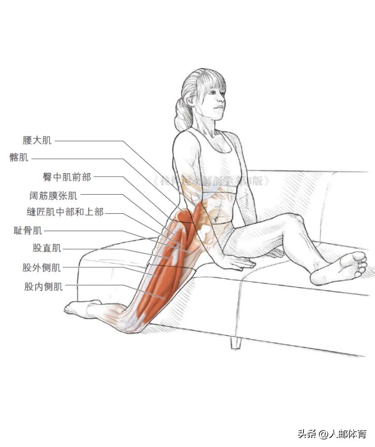 在沙发上锻炼,久坐一族伸展练习方法