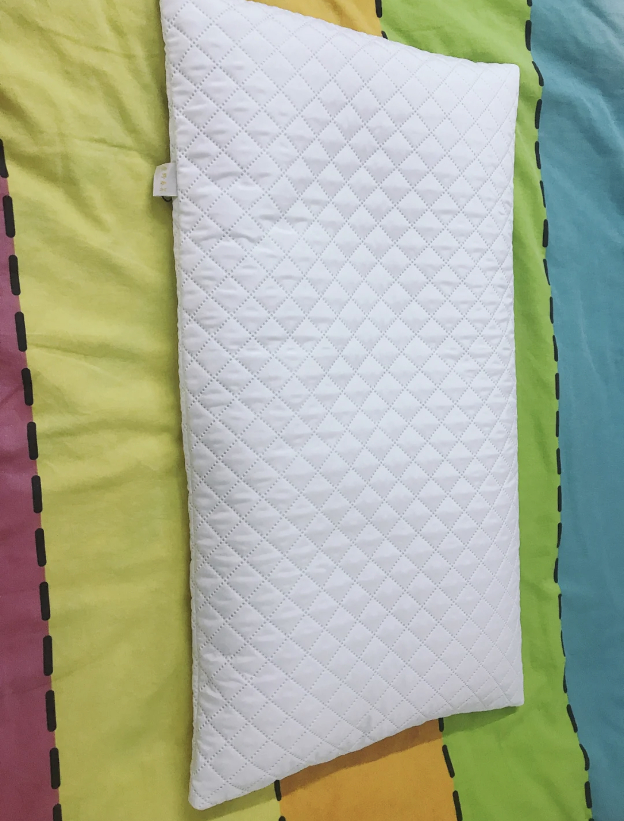 荞麦枕乳胶枕到底哪个好,睡乳胶枕好还是荞麦枕好