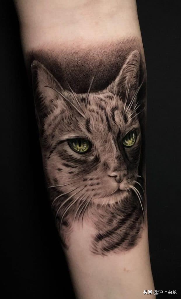 猫咪纹身图案设计,猫咪纹身图片小图案