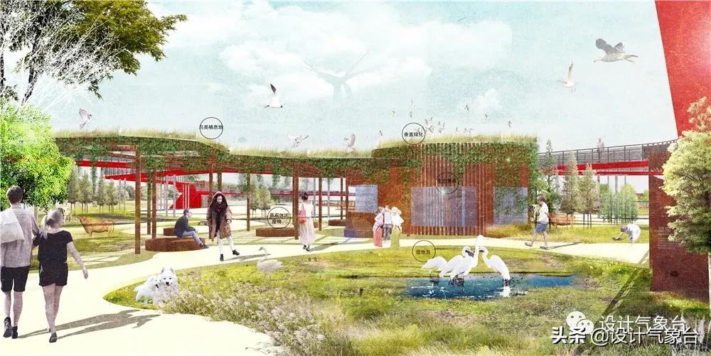 湿地景观效果图,big惜败完整视频