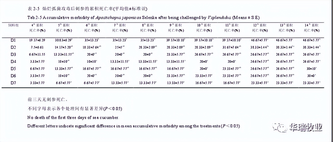 刺参感染灿烂弧菌导致烂皮，规模化养殖场一年损失近百万