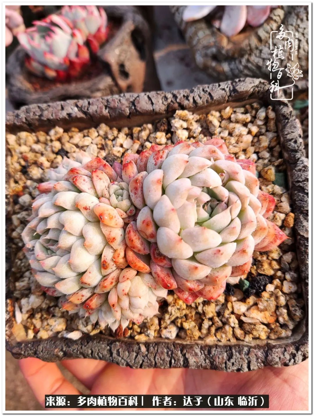 活在当下珍惜眼前平凡的生活,活在当下感慨万千