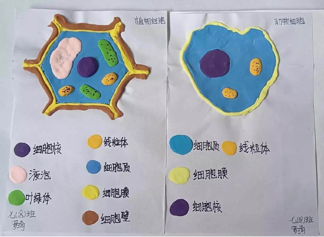 赣州市第八中：提质增效促“双减”学生减负不减乐