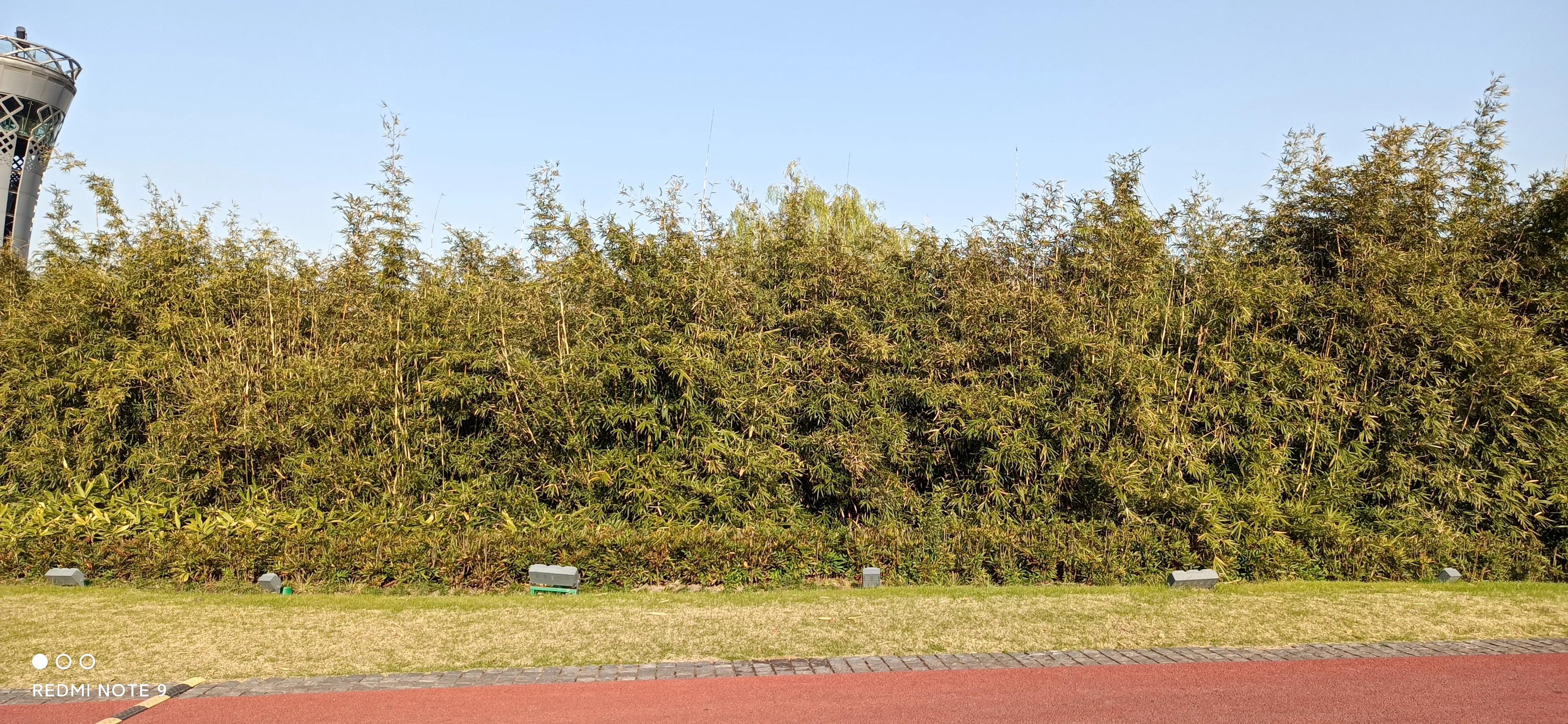 浦东前滩效果图,上海浦东前滩将开的新楼盘