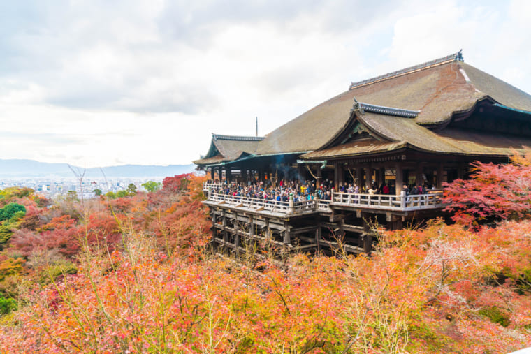 讽刺骗人的动漫,你以为动漫里都是假的吗