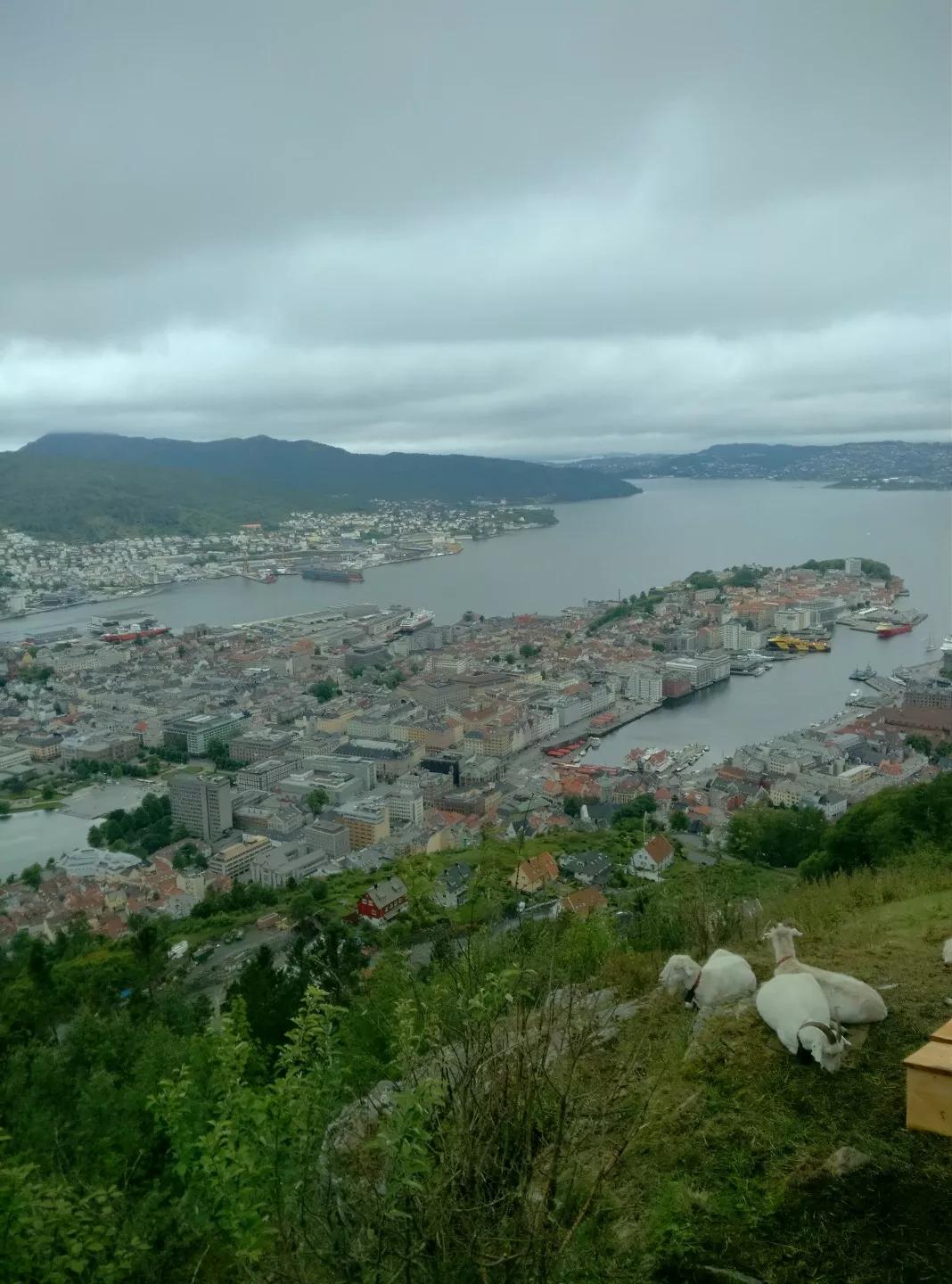 挪威为什么不加入欧盟,挪威为什么没加入欧盟