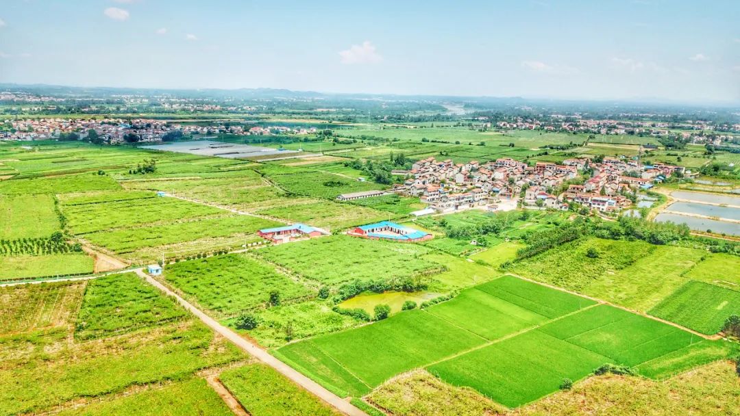 线上逛年货|不私藏了，这份龙丘珍味清单请签收！