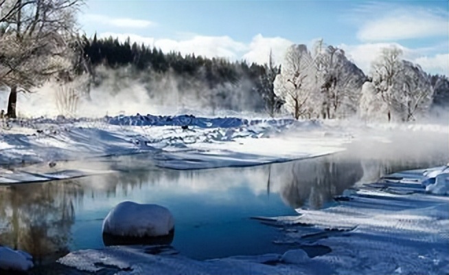 来自塔里木《塔河文苑》：睡着的胡杨