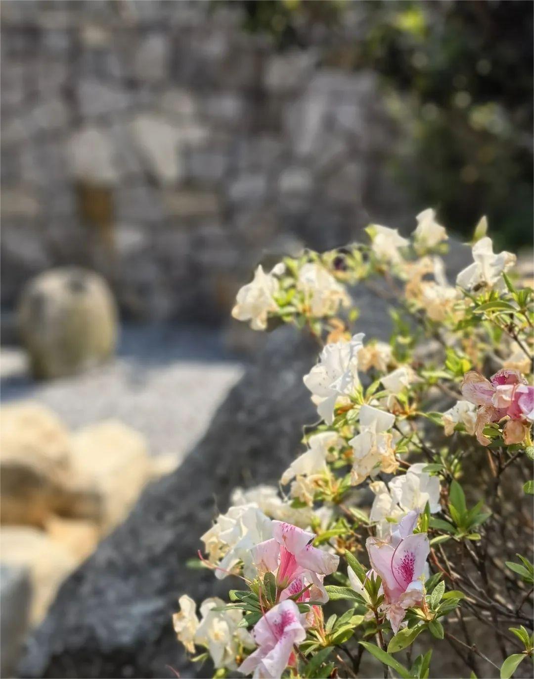 你们都说人多，我却找到一个人少又神仙的地方！