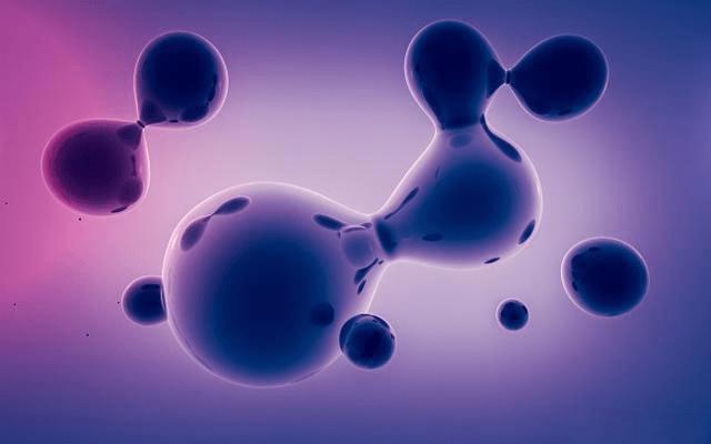 冰箱鱼腥异味去除最快方法小窍门,肉在冰箱放久了会有异味怎么消除