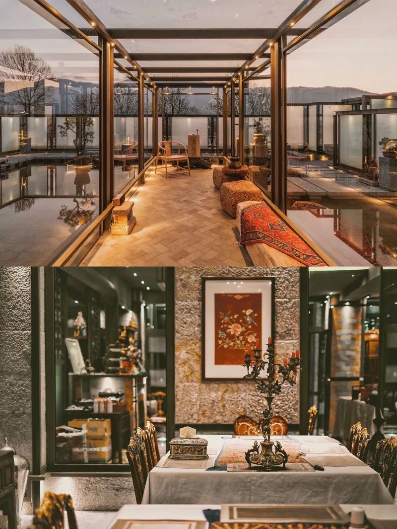 拜托！喝一杯价值8000多万的古树茶，住雪山博物馆酒店，超酷欸