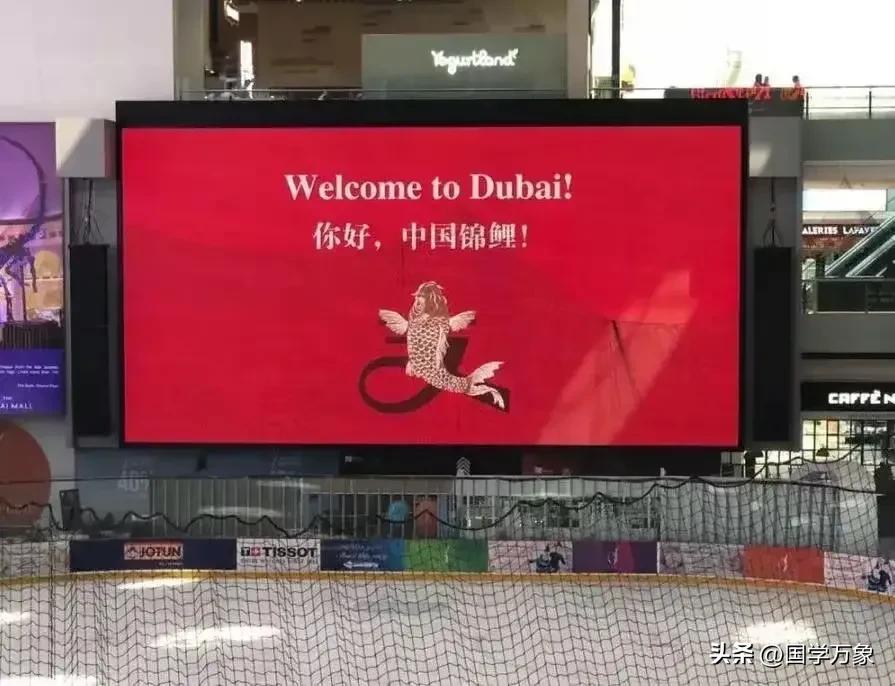 被亿元砸中的信小呆，明明拥有了亿元大奖，为什么却如此凄惨？