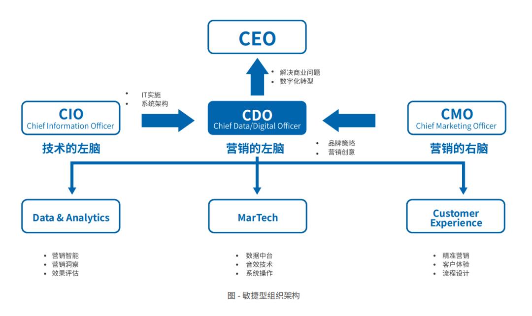 专访创略科技杨辰韵CDP走进“务实”阶段企业开始追求业务侧价值