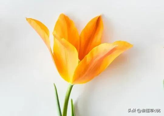 鐖变綘涓嶈礋閬囪灏忚,鐖变綘涓嶈礋閬囪灏忚鐩涢亣