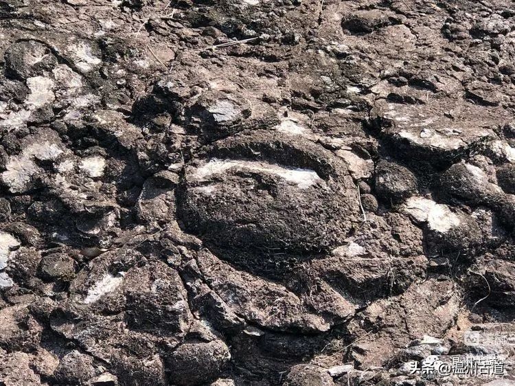 雁荡山的七大景区,雁荡山八大景区哪个更值得去