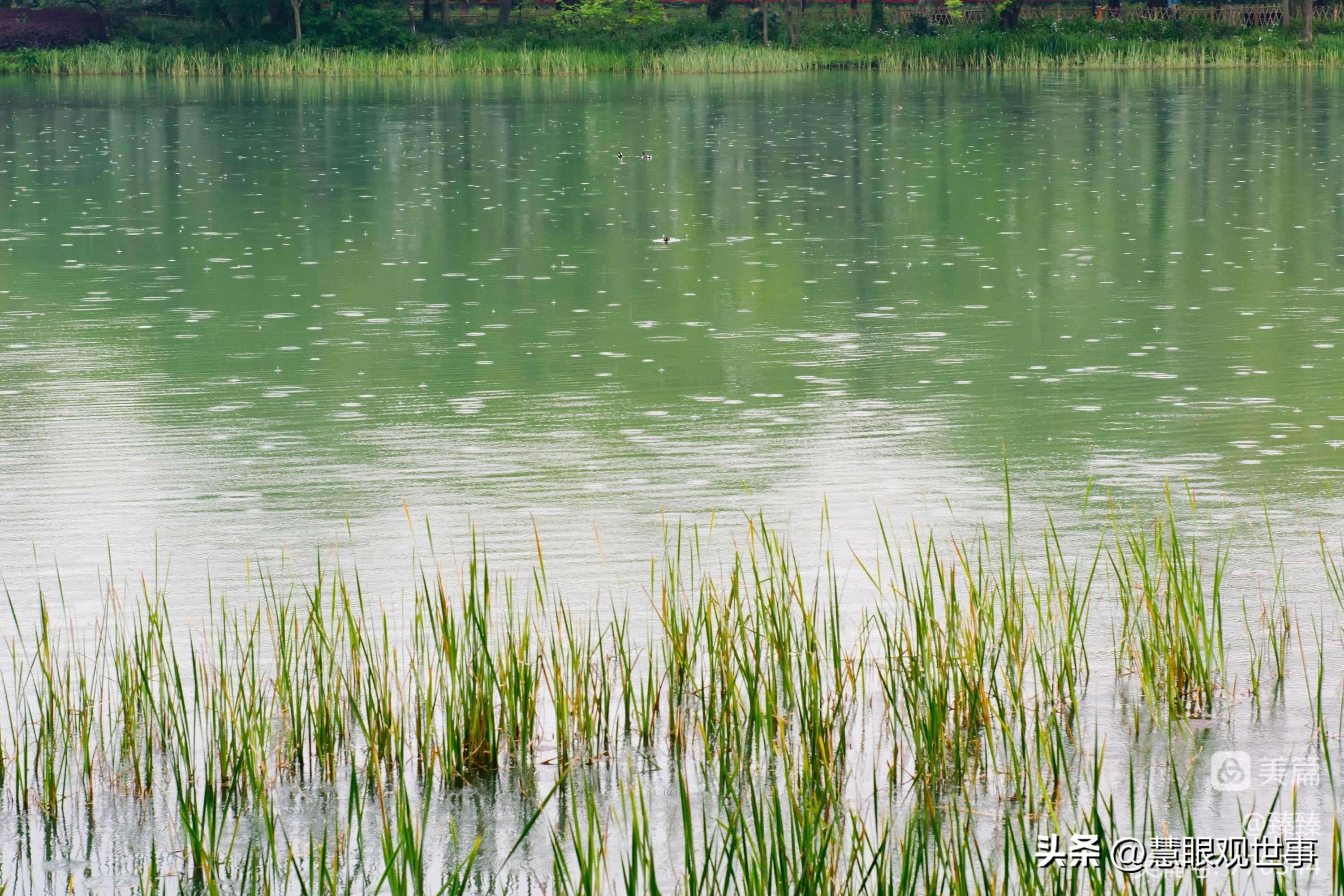 自然现象的古诗词,学生必背古诗词41到60句