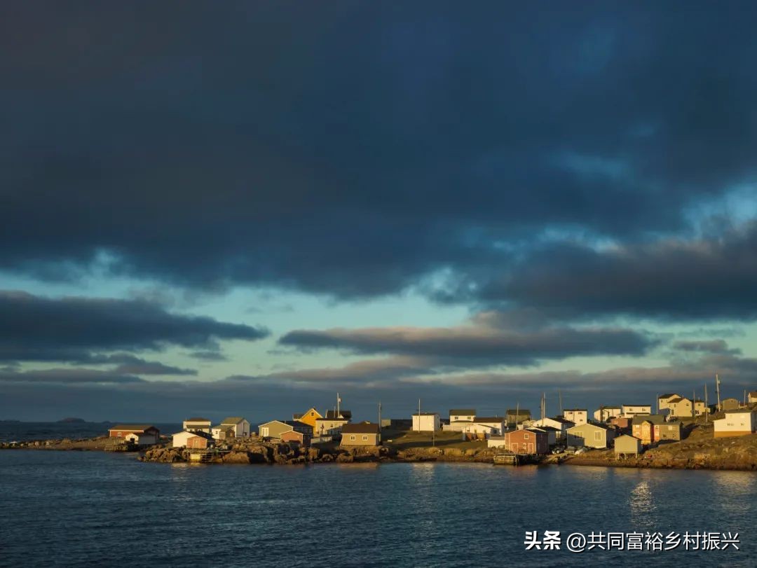 以数字经济助力乡村产业振兴案例,基层党建引领乡村振兴主要案例