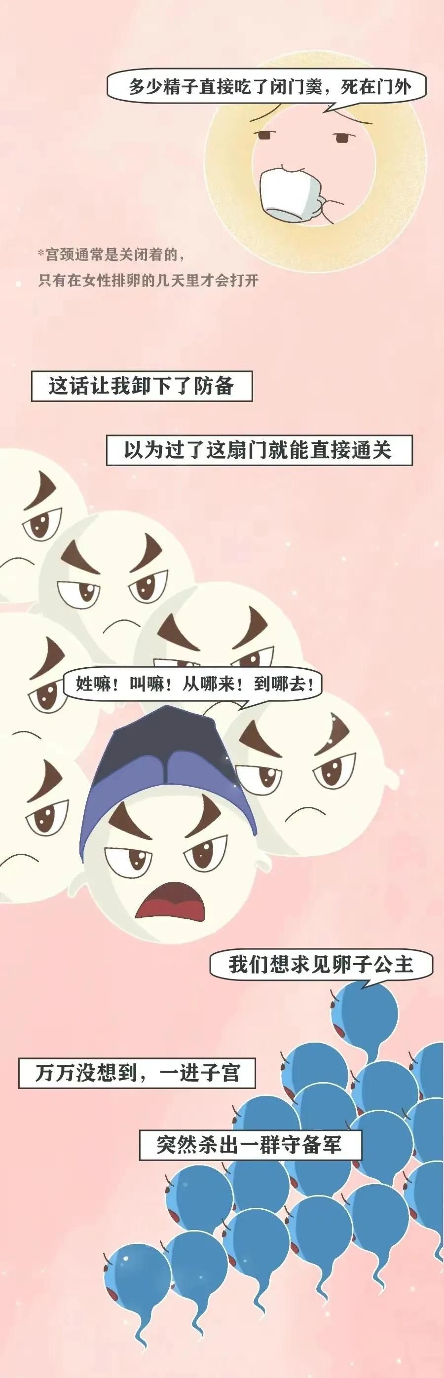 精子是怎么进入对方体内的，真是历经九九八十一难！