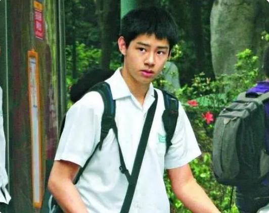 谭咏麟原配为什么没有孩子,谭咏麟与原配的恩怨纠纷