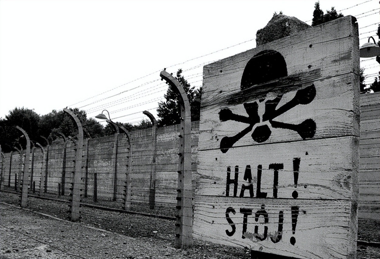 俄乌冲突新消息波兰,俄乌战争最大受益者是俄罗斯吗