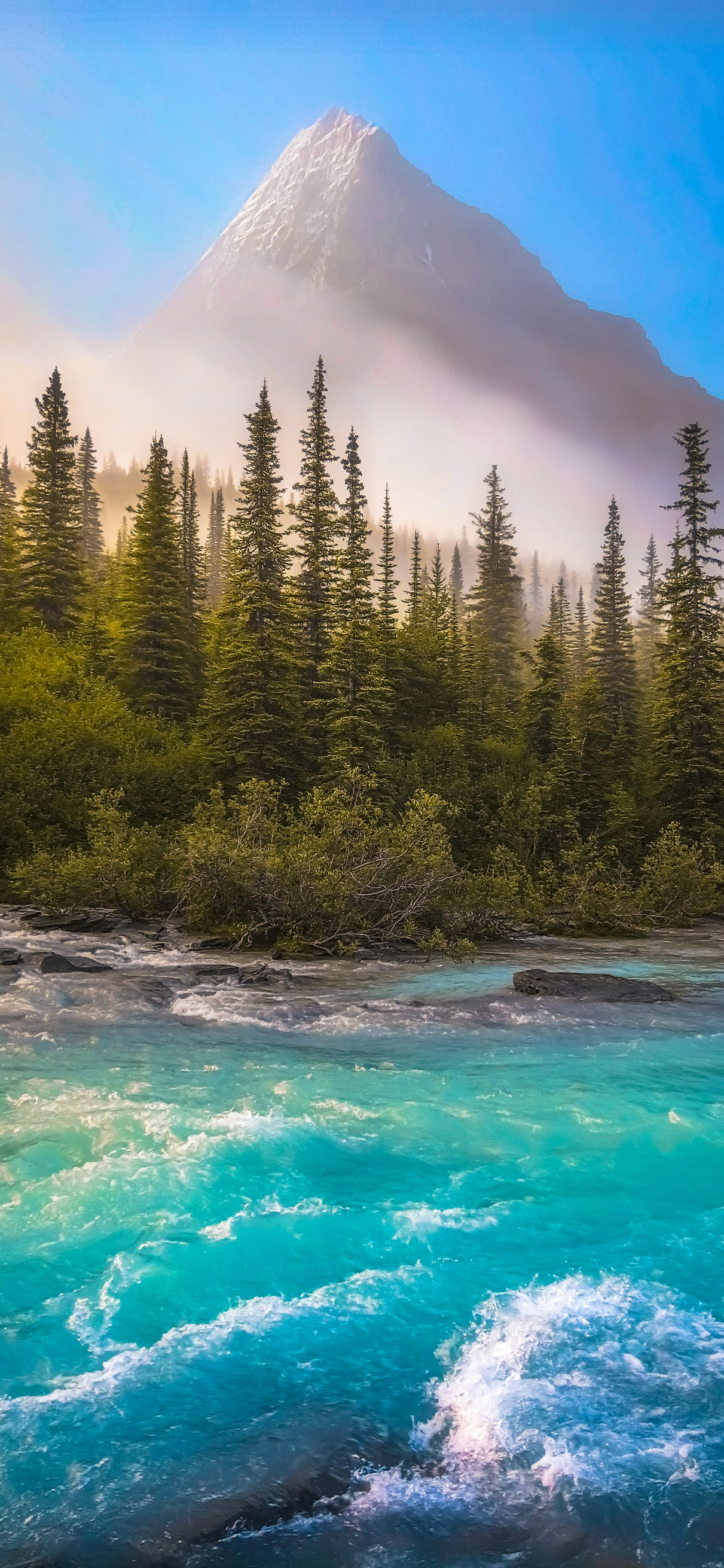 高清蓝天自然风景壁纸,动物自然风景高清壁纸