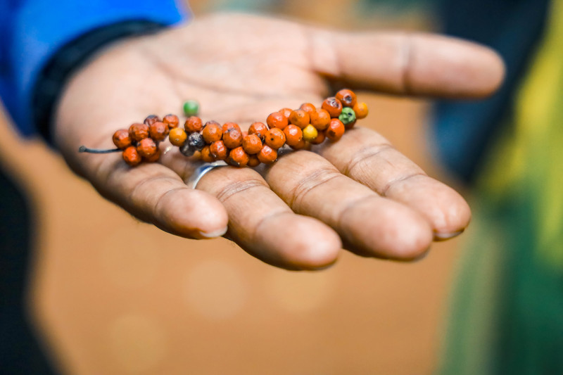 斯里兰卡旅游攻略必去景点,斯里兰卡最佳旅游攻略