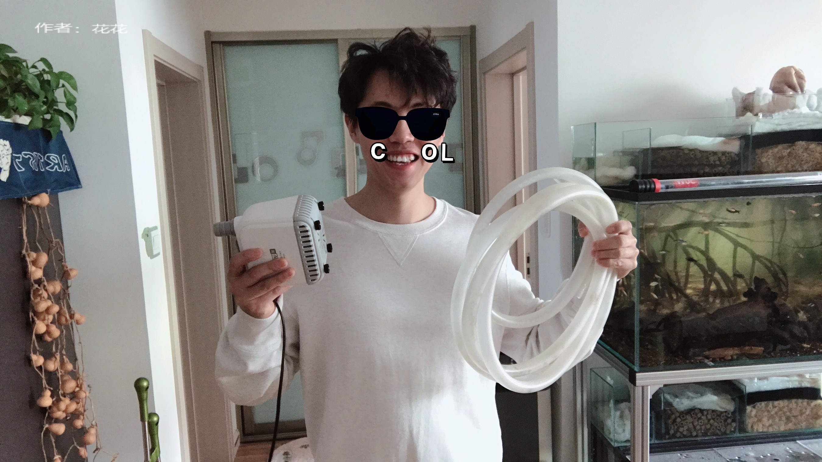 养鱼日记缸尾,养鱼日记底滤