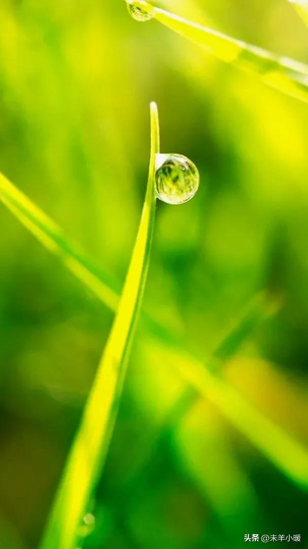 最美的手机壁纸大全,养眼养心的壁纸