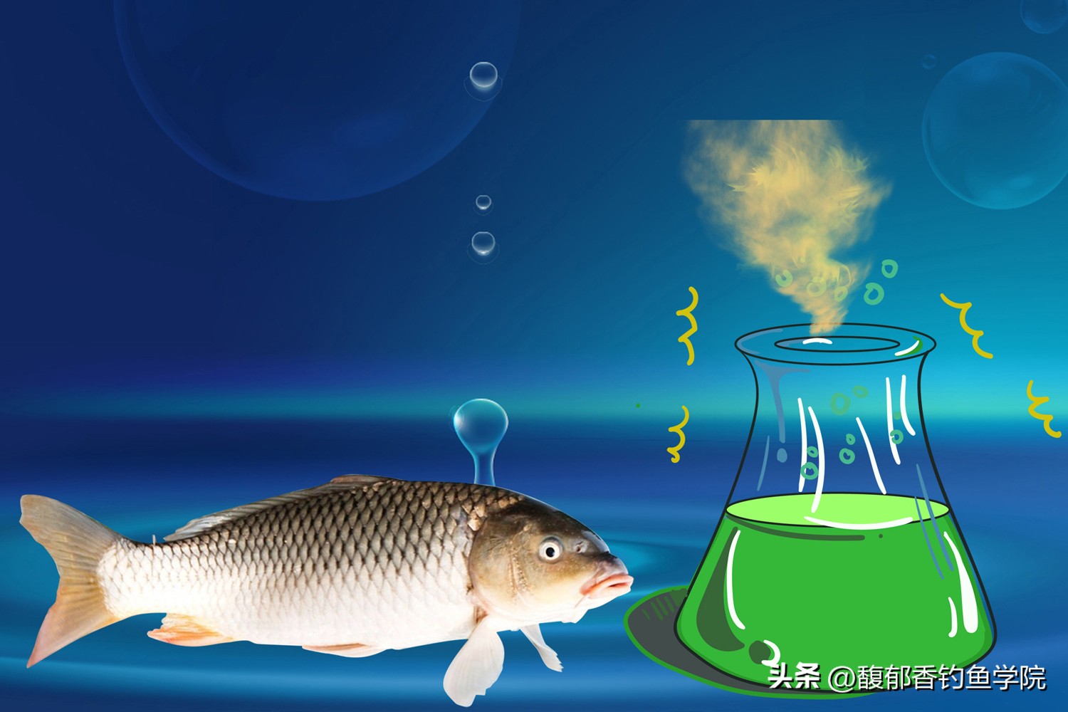 钓鱼小药的原理，锦上添花还是雪中送炭？钓鱼小药的秘密