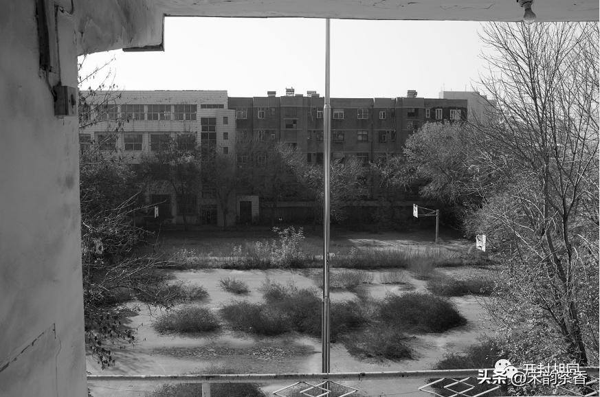 开封市第十四中学,开封市第十四中学简介