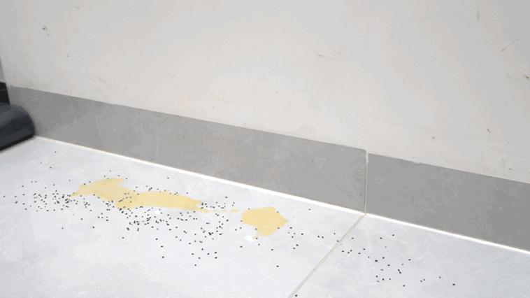 京东米博Q7全屋版洗地机,添可洗地机2.0跟米博q7哪款好