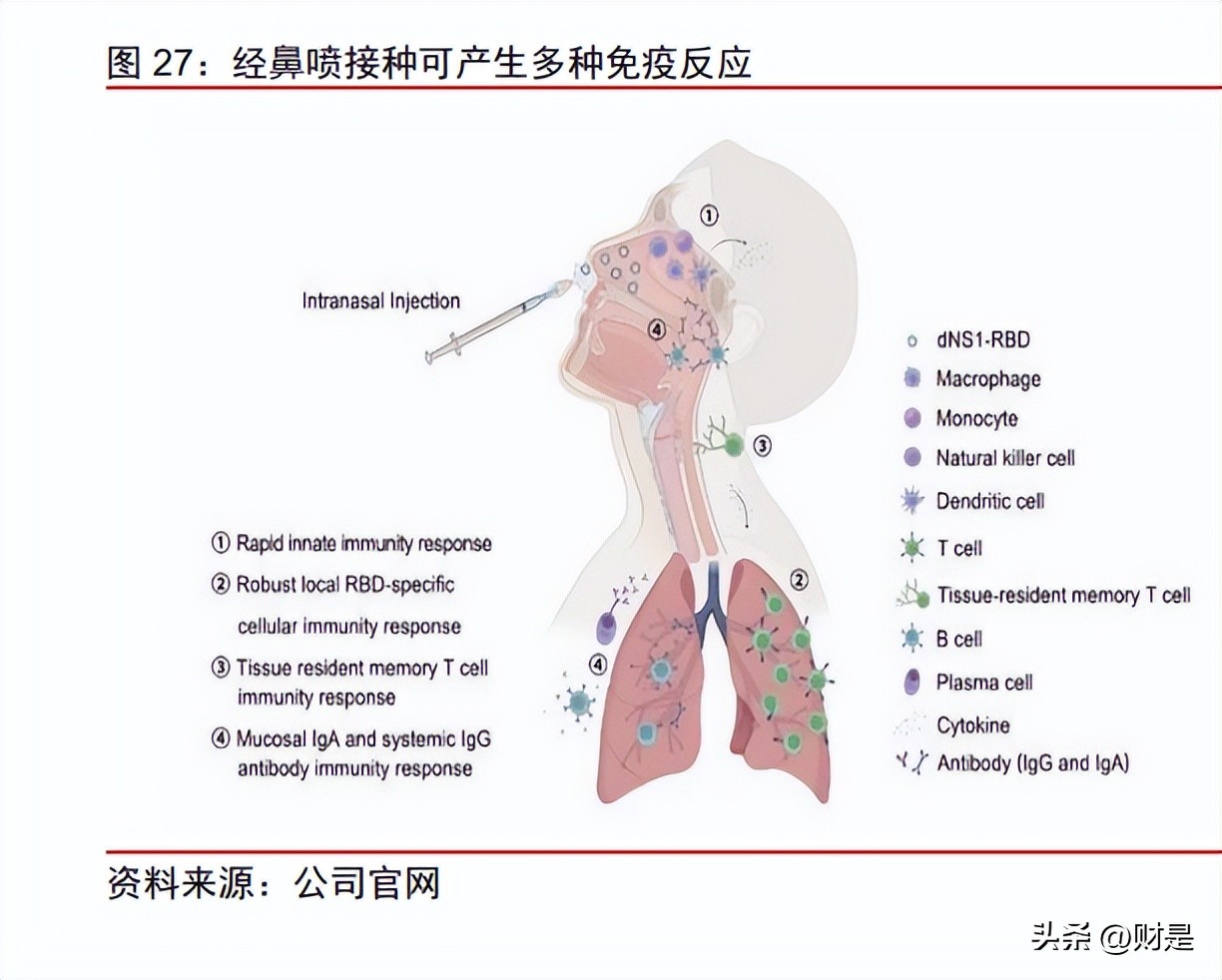 万泰生物20价疫苗前景,万泰生物研究出的疫苗有什么作用
