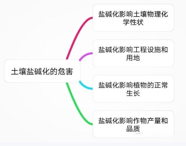 种植海水稻有什么好处,海水稻好吃还是难吃