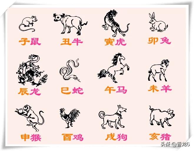 十二生肖评分标准,十二生肖的百科知识