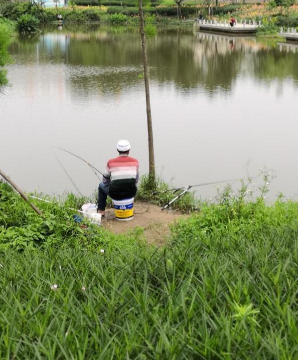 新手钓鱼入门基本知识,水库钓鱼技巧新手入门