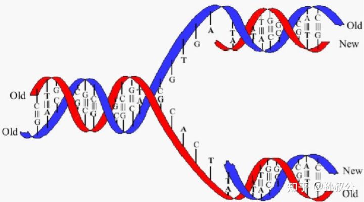 跖疣治疗，亲身经历？