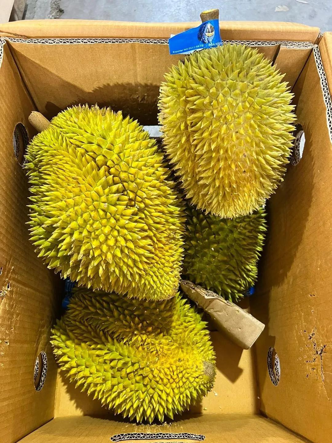 卖榴莲的利润大概是多少,摆摊卖榴莲有百分之多少的利润