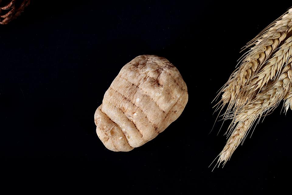 云南昭通小草坝天麻和土特产,走遍中国云南昭通市威信县