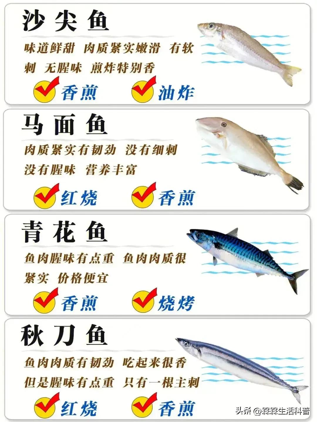 各种鱼图解大全,100种常见家常鱼的图片