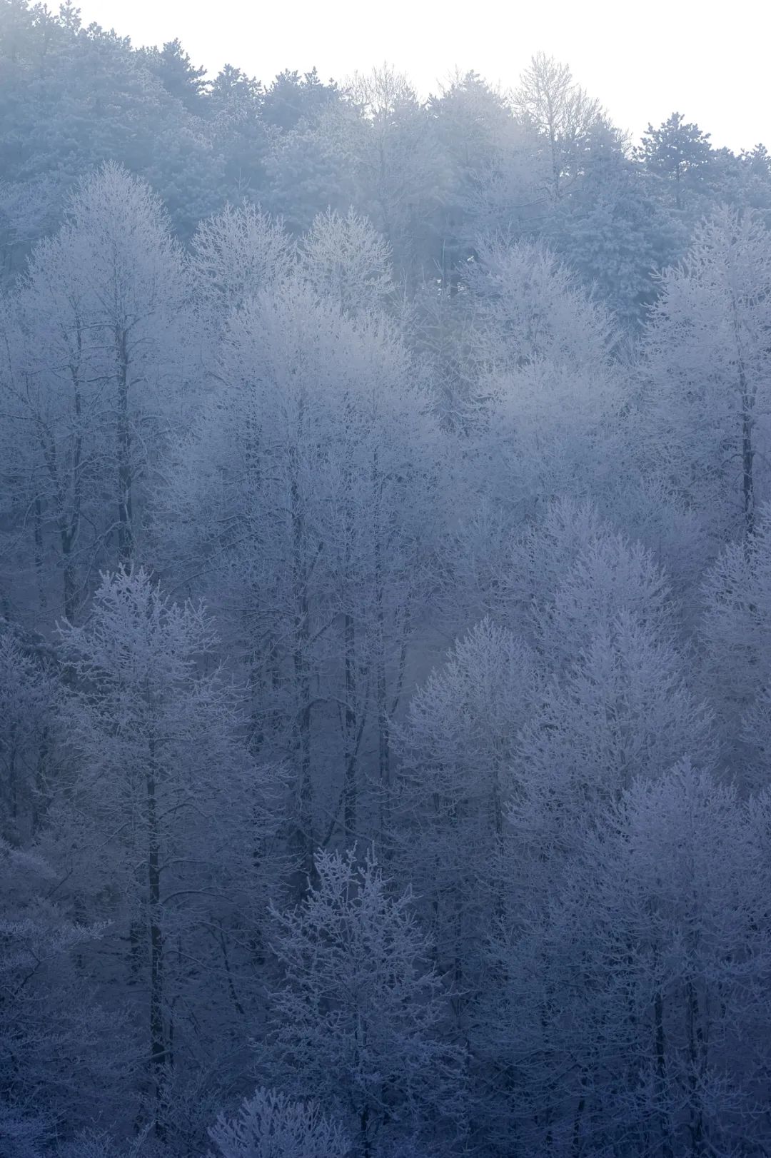 不愧是天下第一山真的很壮观,不愧是天下第一奇山
