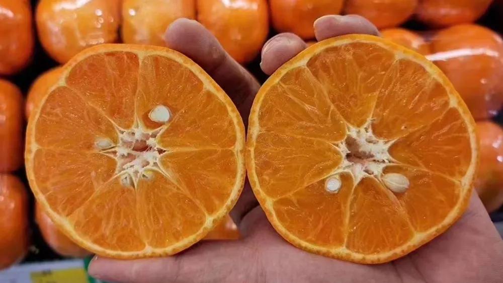 新开水果店要进多少钱水果,果蔬水果店的利润有多少