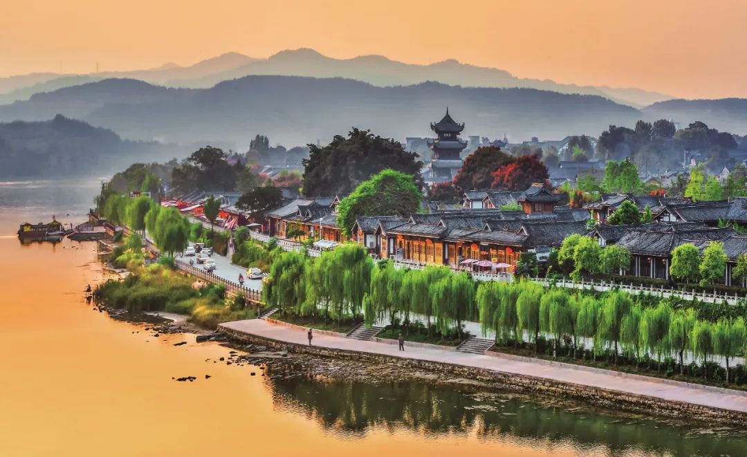 什么是南充菜,什么是南充菜图片