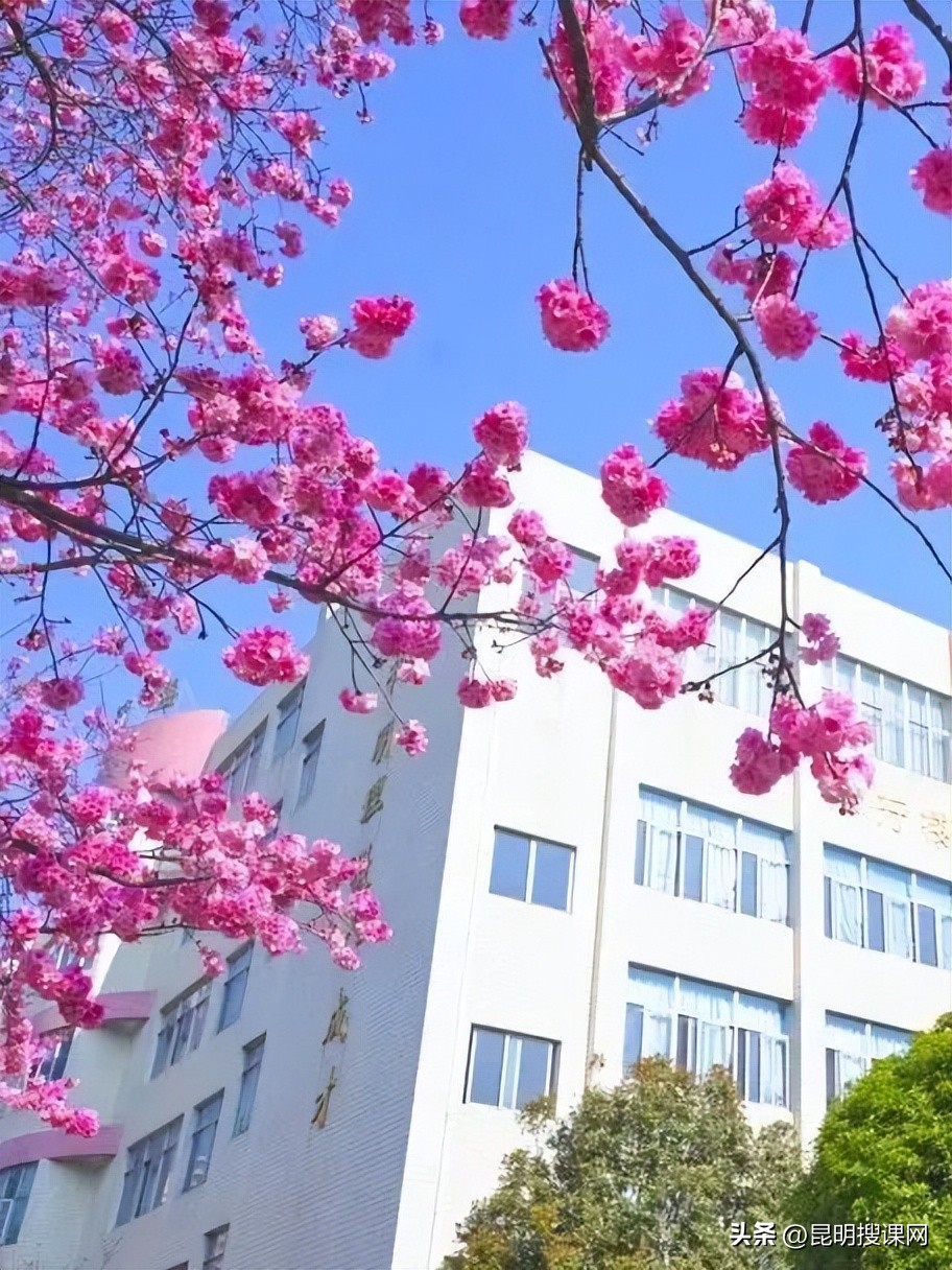 2023年昆明十四中初中招生政策,昆明第十四中学招生简章