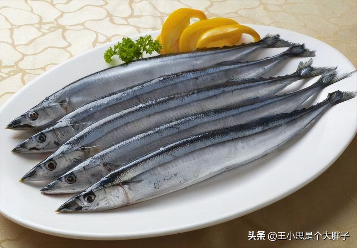 六种野生鱼不能人工养殖,市场上这6种鱼放心购买