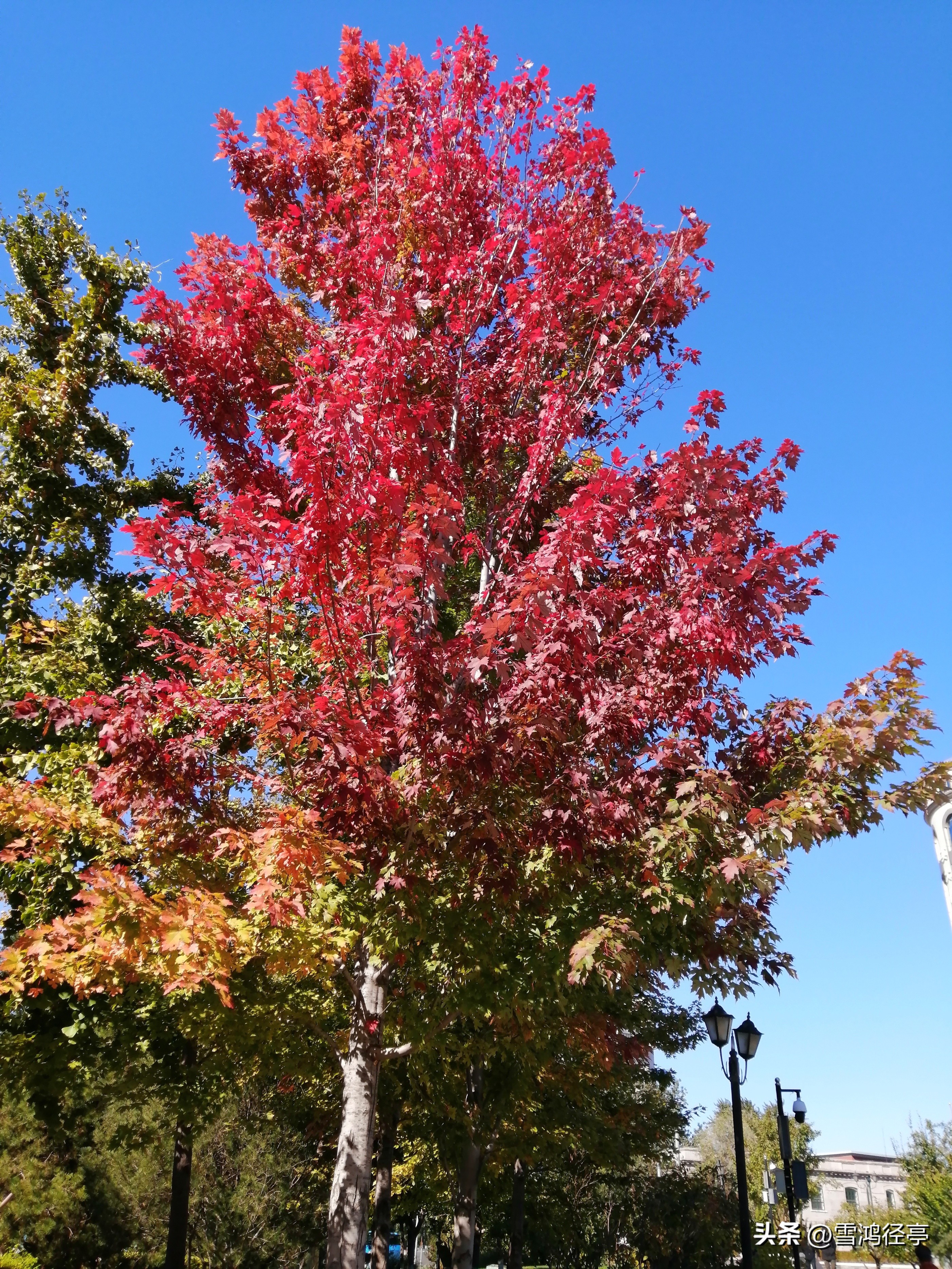 鐪嬬湅浣犳槸鍝鏈嬪弸,鏉ョ湅鐪嬩綘鍏锋湁鍝绂忔皵