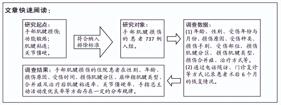 手部肌腱损伤与修复,手指肌腱损伤首次病程